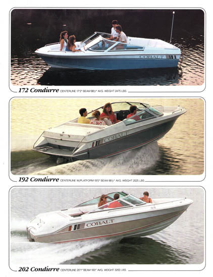 Cobalt 1989 Brochure