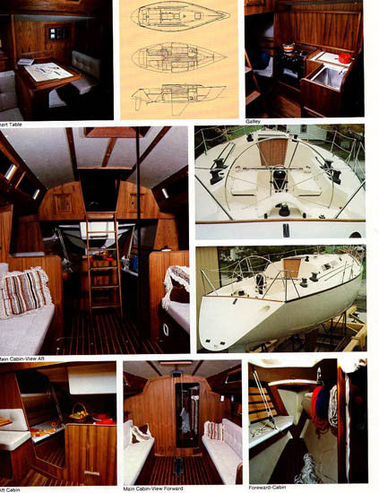 Wiggers Peterson 37 Brochure