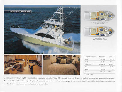 Viking 2007 Brochure