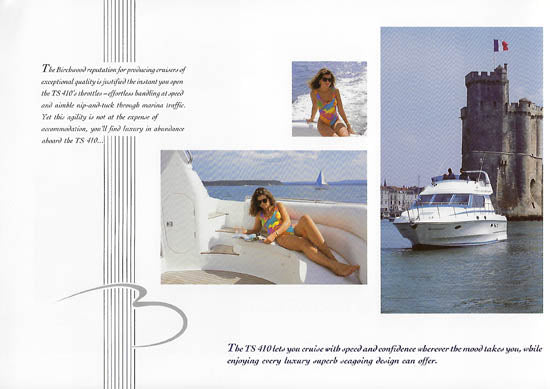 Birchwood TS410 Brochure