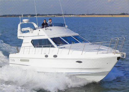 Birchwood TS410 Brochure
