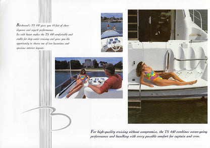 Birchwood TS440 Brochure
