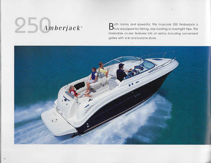 Sea Ray 2007 Sport Cruisers Brochure - APAC