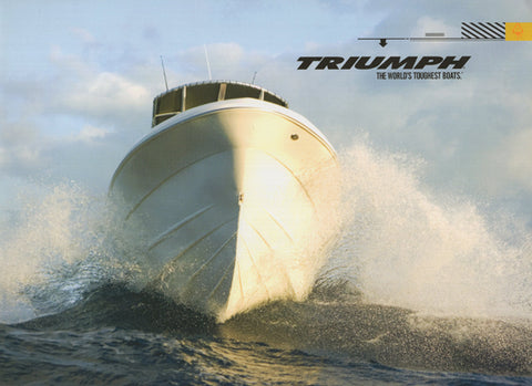 Triumph 2008 Brochure