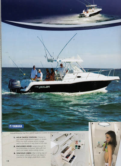 Polar 2008 Brochure