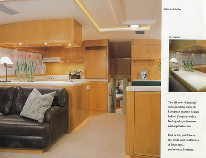 Bertram 54 Convertible Brochure