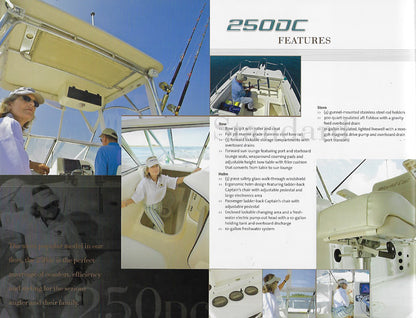 World Cat 2008 Brochure