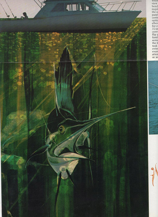 Chris Craft 30 Tournament Fisherman Brochure