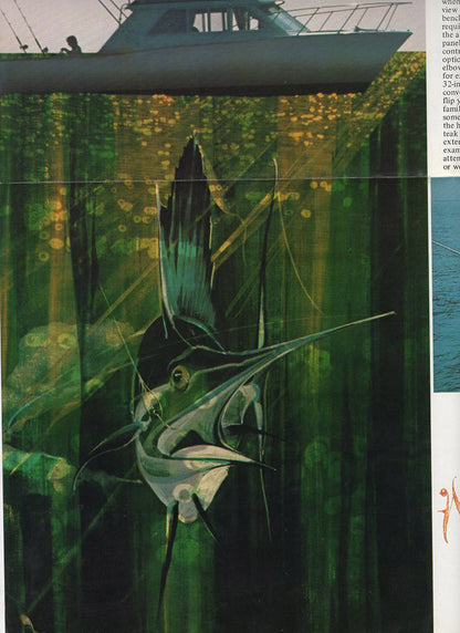 Chris Craft 30 Tournament Fisherman Brochure