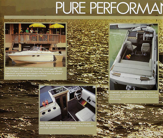 IMP X250 Brochure