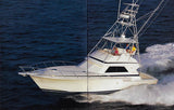 Bertram 46 Convertible Brochure