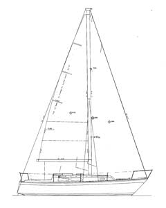 Cal 31 Line Drawings