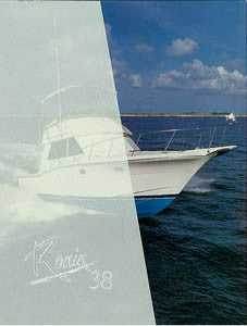 Ronin 38 Brochure