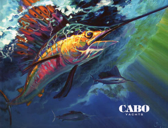 Cabo 2010 Brochure