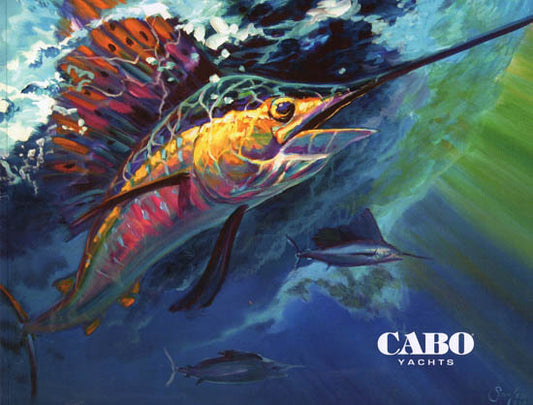 Cabo 2010 Brochure