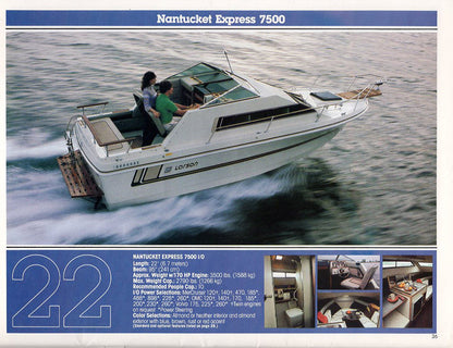Larson 1984 Brochure