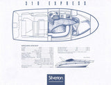 Silverton 310 Express Brochure