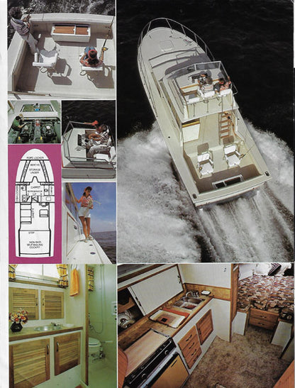 Stamas 1979 Brochure