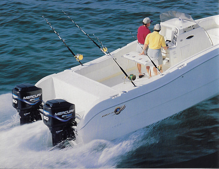 World Cat 2000 Brochure