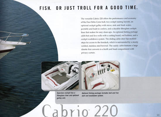 Larson 2001 Brochure