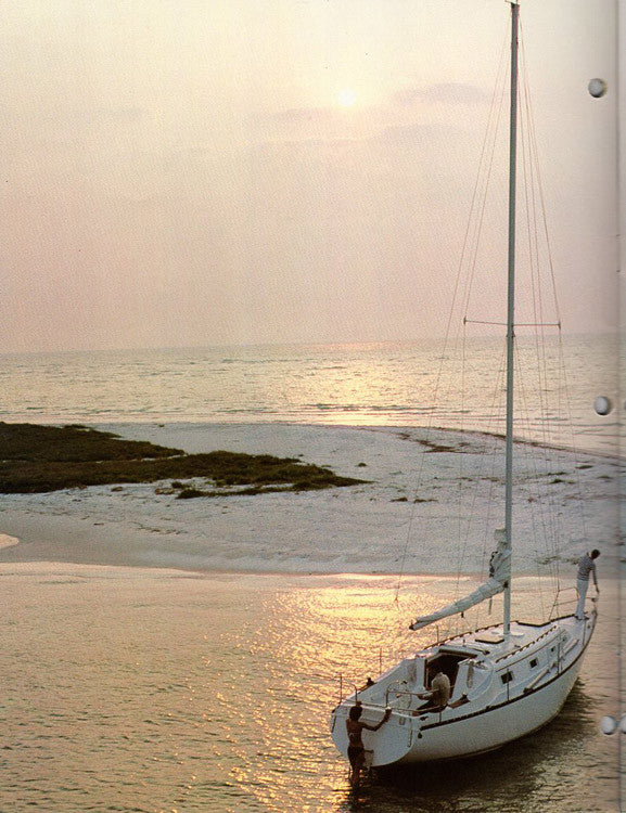 Hunter 1979 Brochure
