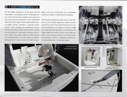 Viking 65 Convertible Brochure