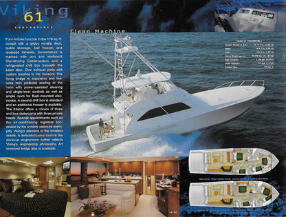Viking 2000 Brochure