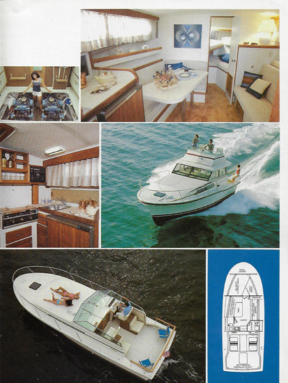 Stamas 1982 Brochure