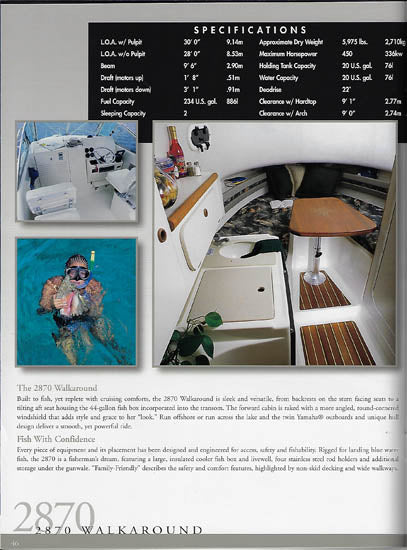 Pursuit 2002 Brochure