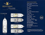 Bertram 570 Convertible Brochure