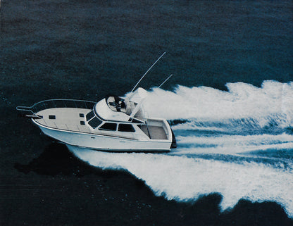 Pacifica 41 Brochure