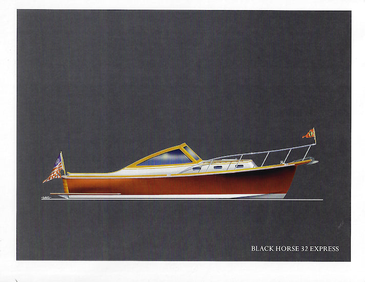 Rooney 32 Back Horse Brochure Package