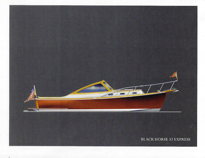 Rooney 32 Back Horse Brochure Package