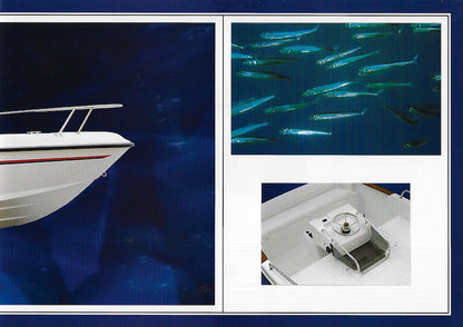 Elan 15 CC Brochure