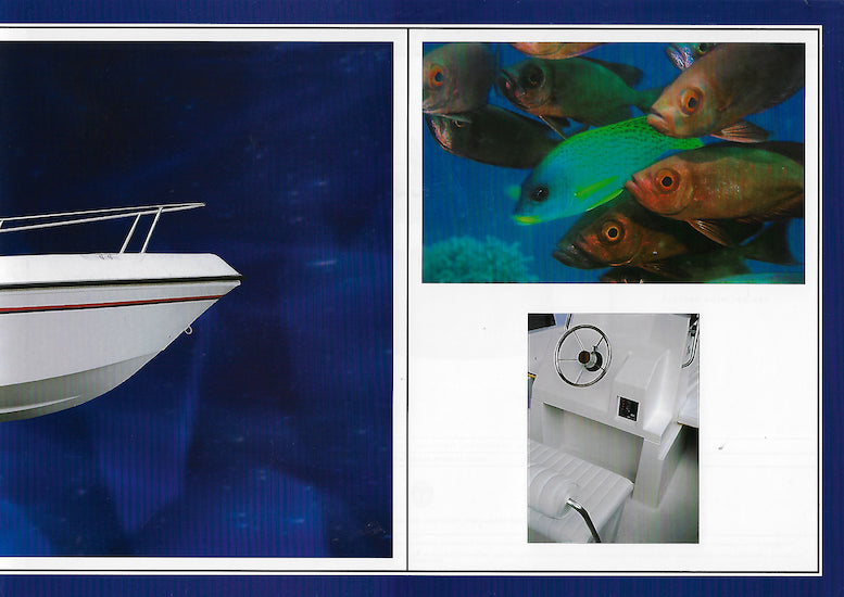 Elan 17 CC Brochure