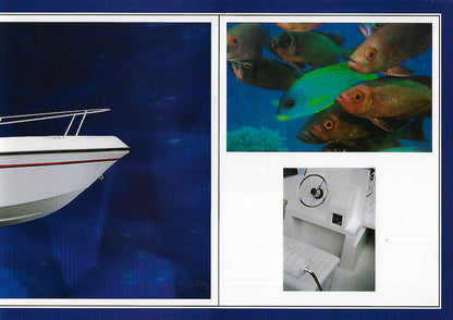 Elan 17 CC Brochure