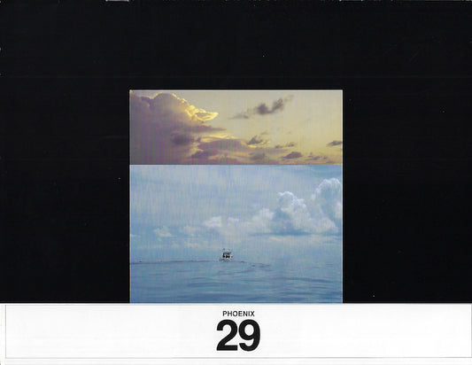 Phoenix 29 Brochure