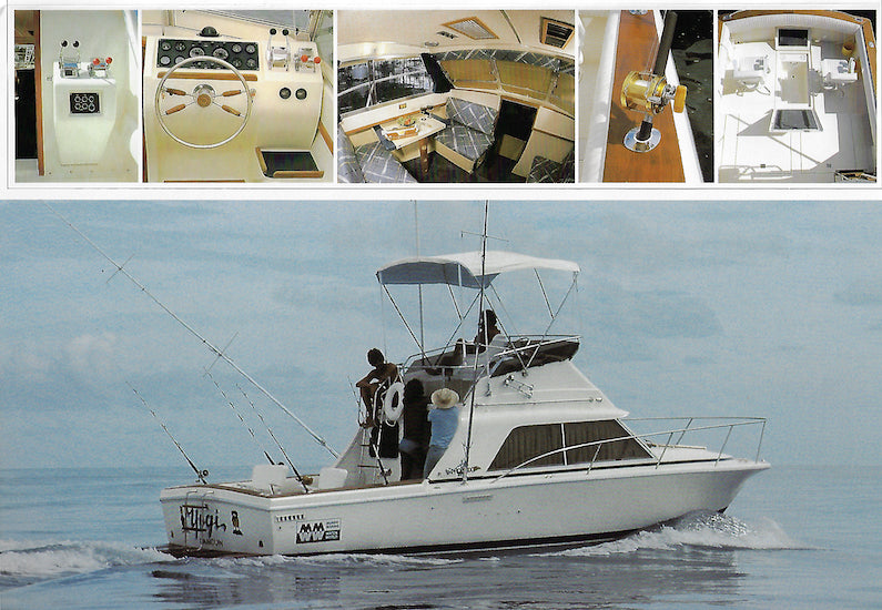 Phoenix 29 Brochure