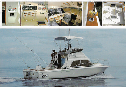 Phoenix 29 Brochure
