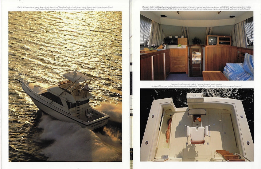 Phoenix 37 Convertible Brochure