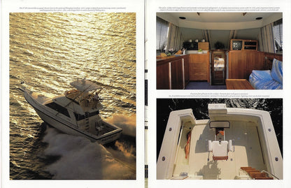 Phoenix 37 Convertible Brochure