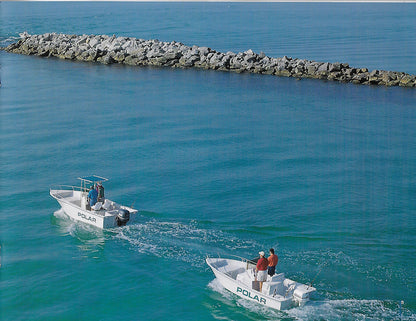Polar 1990s Brochure