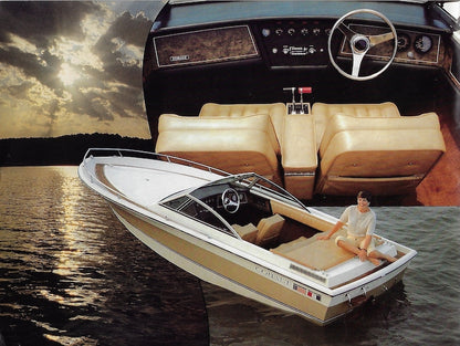 Cobalt 1982 Brochure