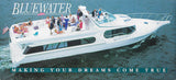 Bluewater 1994 Poster Brochure