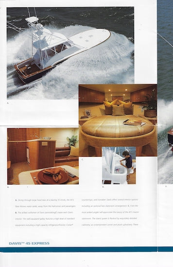 Buddy Davis 45 Express Brochure