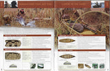 Water Quest 2004 Brochure