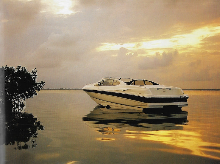 Regal 1999 Oversize Brochure
