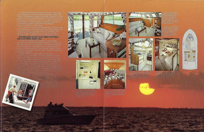 Hatteras 36 Sedan Cruiser Brochure