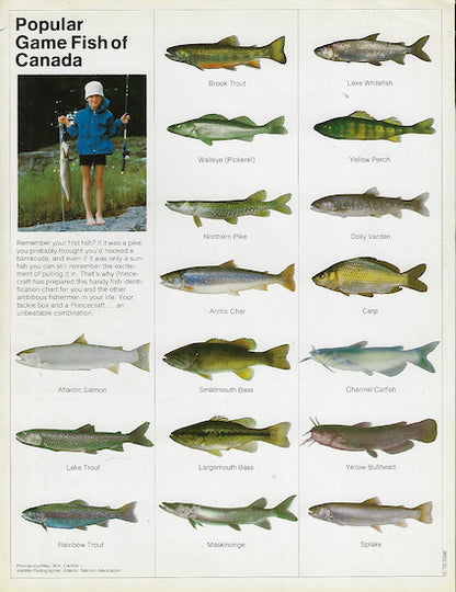 Princecraft 1977 Brochure