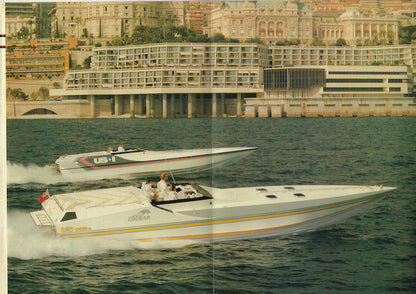 Cougar US 46 Brochure